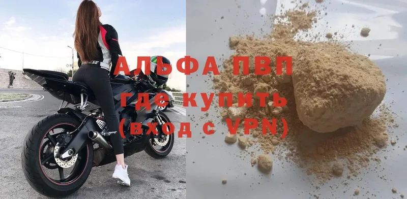 Alfa_PVP СК Хасавюрт